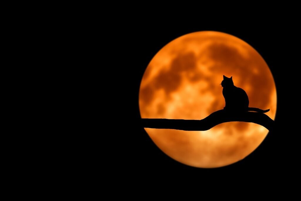 Kako vpliva polna luna na človeka?